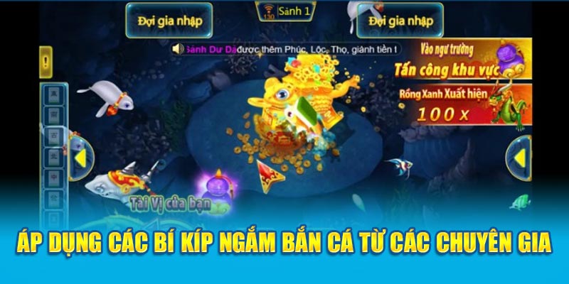 Áp dụng các bí kíp ngắm bắn cá từ các chuyên gia