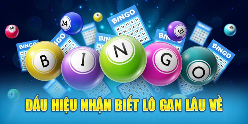 Dấu hiệu nhận biết lô gan lâu về 