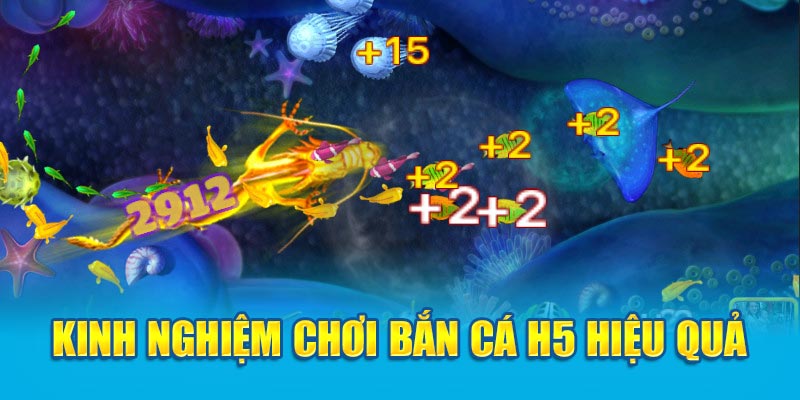 Kinh nghiệm chơi bắn cá H5 hiệu quả