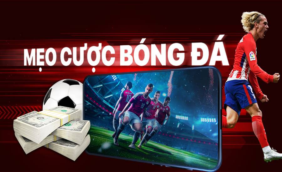 Lựa chọn kèo cá độ bóng đá phù hợp khi soi kèo