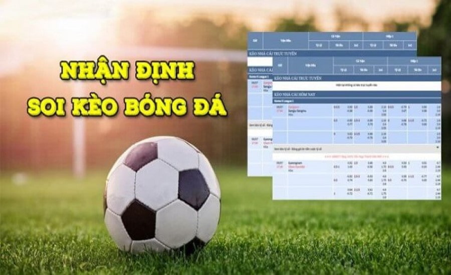 Lưu ý khi soi kèo cá cược bóng đá Pháp